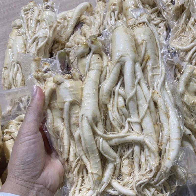 Ginseng Frischer Ginseng Geumsan Großhandel Ilbeongji Frühlingszwiebel Wildbalsam 500g 1 Einheit