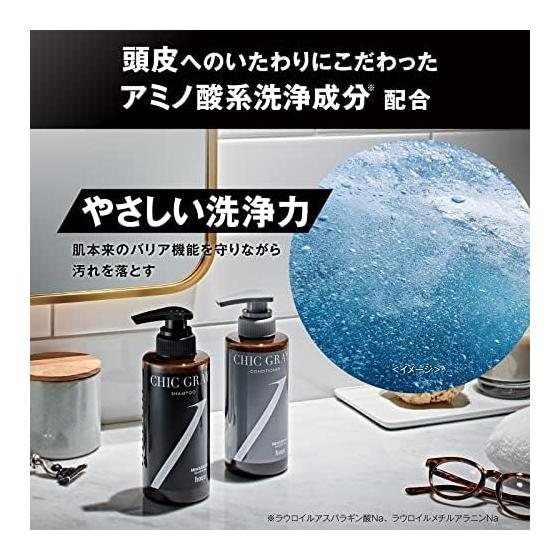 [Set Product] Men's Bigen CHIC GRAY Shampoo/Conditioner [Hair Care for Gray Hair/For Clean Gray Hair] Chic Gray Shampoo 300ml + Conditioner 300g