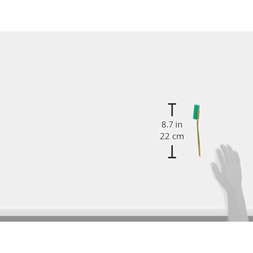 Takagi GISUKE Channel Brush 1 Line Straight Nylon