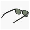 FV2361 060 55 Sunglasses RADEON 3 LB P [Nike]
