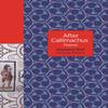 After Callimachus by Stephanie Burt Paperback Book 9780691234519