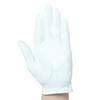 BRIDGESTONE TOUR NANO GLG19 Golf Size 26cm Gloves, Men's, White,