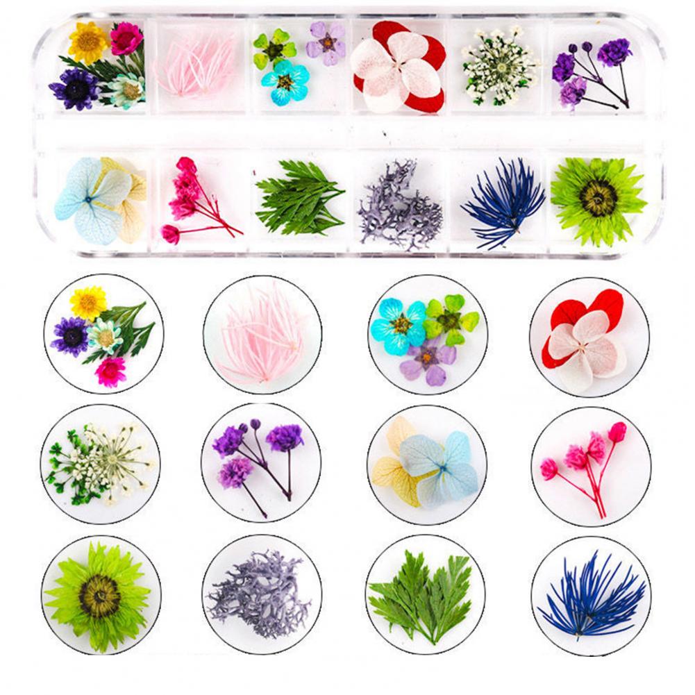 Dried Flower Nail Decoration Nail Art Accessories Vibrant Floral Nail Art Supplies 12 Colors of Natural Dried for Manicure