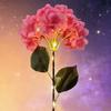 Realistic LED Hydrangea Lights Decorative Lighting Landscape Decoration Solar Garden Light Solar Powered Automatic Light Sensor