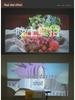 2025 Mini Home Projector with Screen for Mobile Phones, Dorms, Bedrooms, and Students