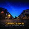 Cawod Lwch by Rhys Iorwerth Paperback Book 9781845278045