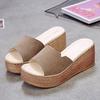 Women's 2019 Korean-Style Summer Platform Wedge Sandals - Thick Sole One-Strap Slippers