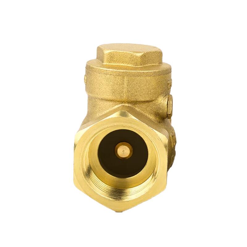 Brass Horizontal Spring Check Valve