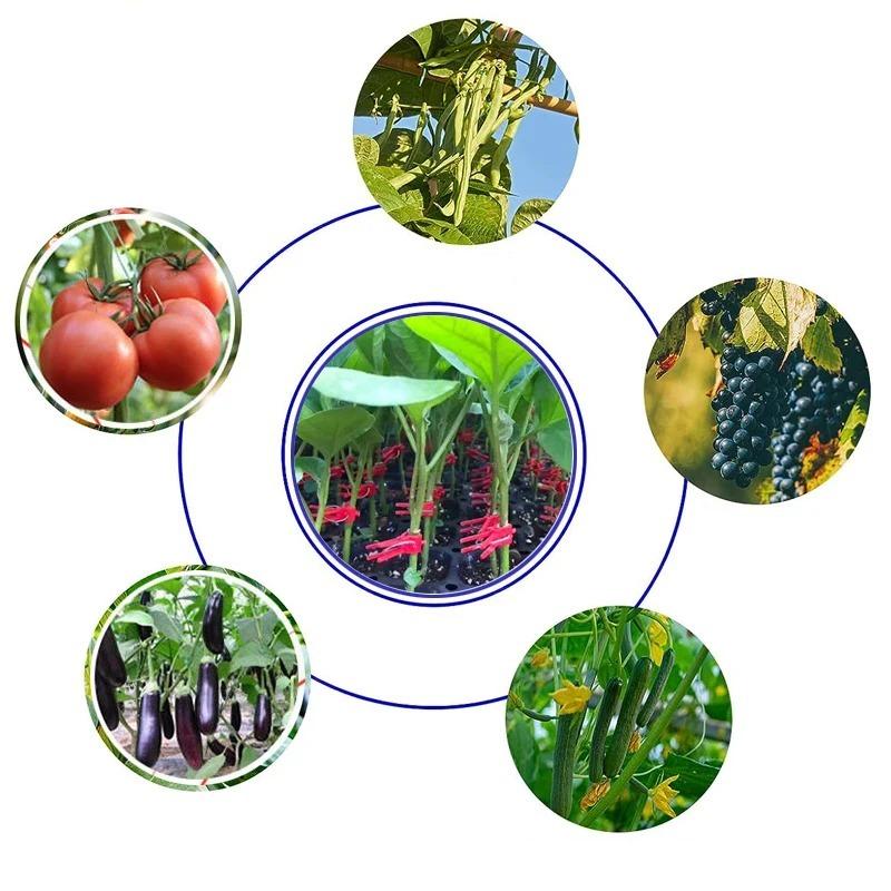 5/25/30/50/100KS Plastové Klipy pro Očkování Sazenic Rajčatové Klipy Zahradnické Doplňky Klipy na Podepírání Rostlin Stojany na Rostliny Očkovací Nástroje