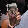Pet Cat Funny Memes Phone Case For Samsung Galaxy A17 A16 A15 A14 A13 A57 A56 A55 A54 A53 A37 A36 A35 A34 A33 A26 A25 A24 A23 Ga
