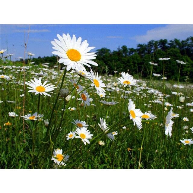 Flower Diamond Painting Accessories 5D DIY Diamond Mosaic Embroidery Cross Stitch Full Round Square Rhinestone Home Decoration