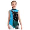 Girls Color Block Gymnastics Leotard with Mock Neck & Keyhole Back, Shiny Rhinestones & Tassels for Dance & Figure Skating