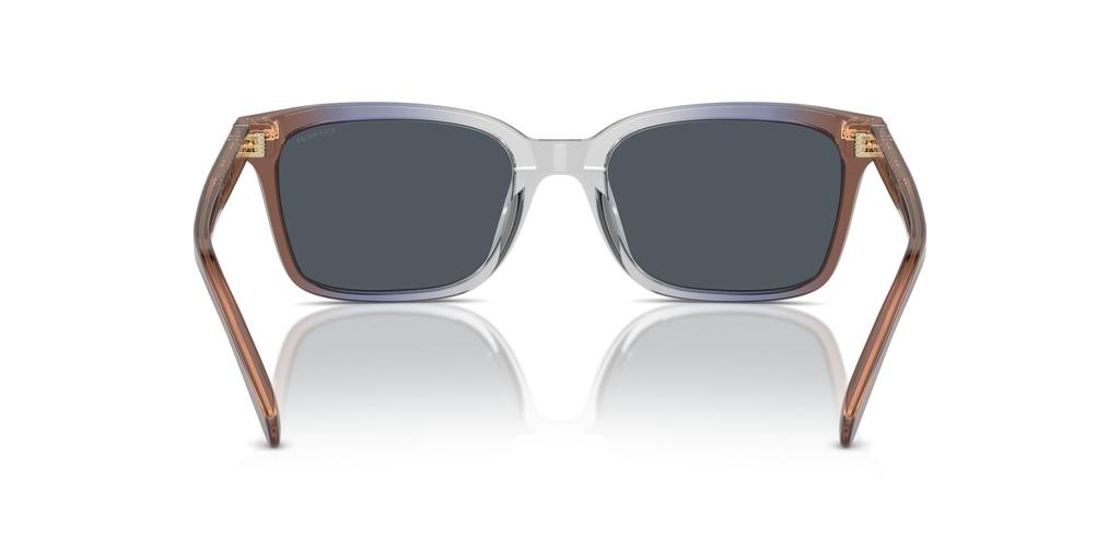 Sunglasses HC8398U CR630 PECAN BLUE GRAY GRADIENT 54 [Coach] Men's