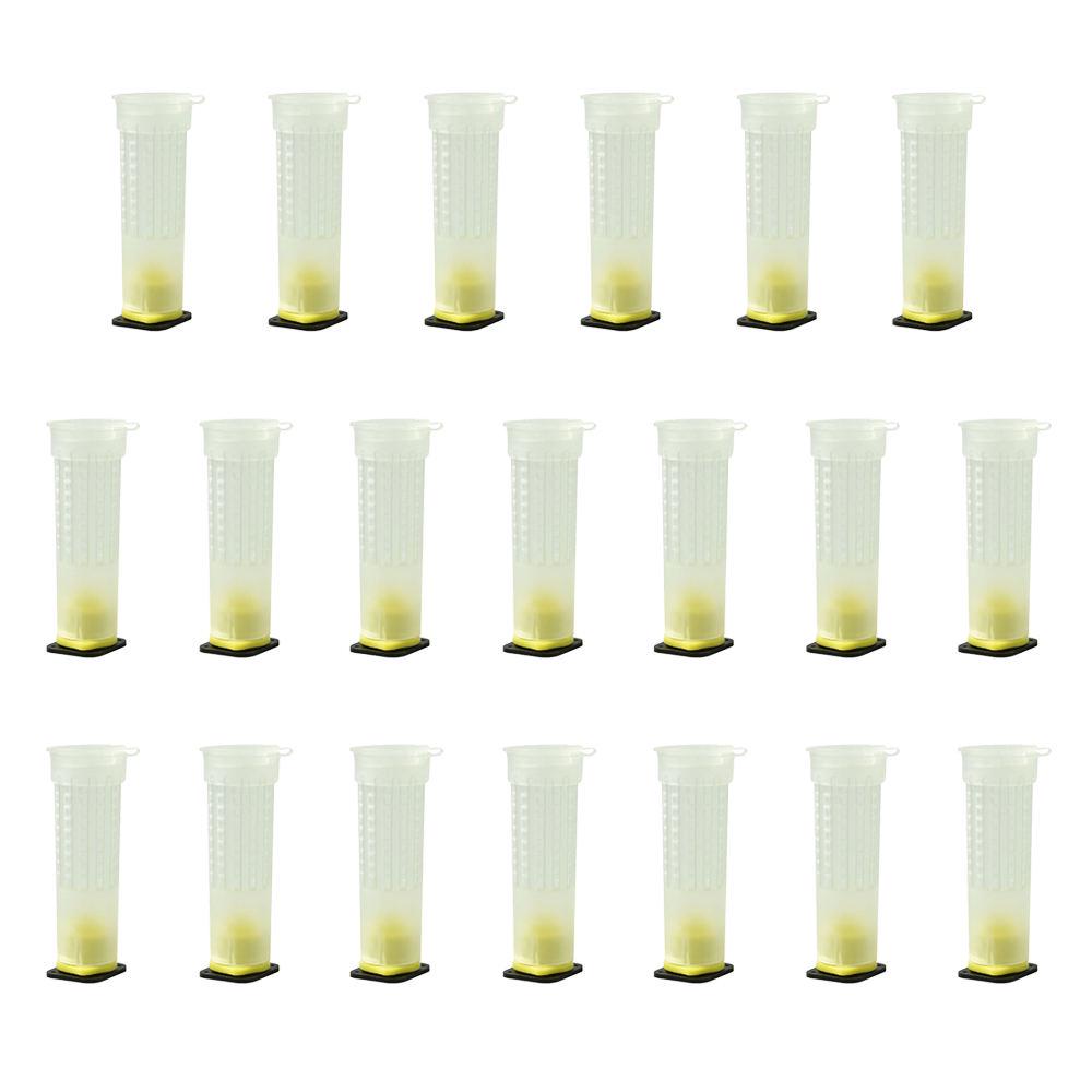Insect Rearing Cups 20PCS Beekeeping Rearing Cup Kit Queen Bee Cages Beekeeper Equipment ...