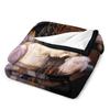Anne Boleyn In the Tower by Edouard Cibot | The Six Throw Blanket Blankets and Blankets Soft Blanket Furry Blanket Blanket Sofa