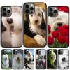 GOLD ENGLISH SHEEPDOG PUPPY Coque Shell For iPhone 17 Air 15 16e 14 13 12 Pro Max 11 Pro Max Plus Phone Case Cover