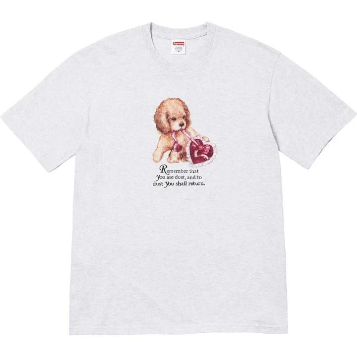 Supreme Dust Tee Ash Grey L