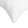 Pillow 2 pcs White 60 x 60 cm Bamboo Fiber