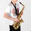 AS200 Eb Alto Saxophone Brass Lacquered Alto Sax Wind Instrument with Carry Case Gloves Straps