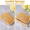 6pcs Natural Loofah Sponge for Deep Exfoliation, Gentle on Skin & Renew Skin, Bamboo Fiber Body Scrubber for Adults, Shower