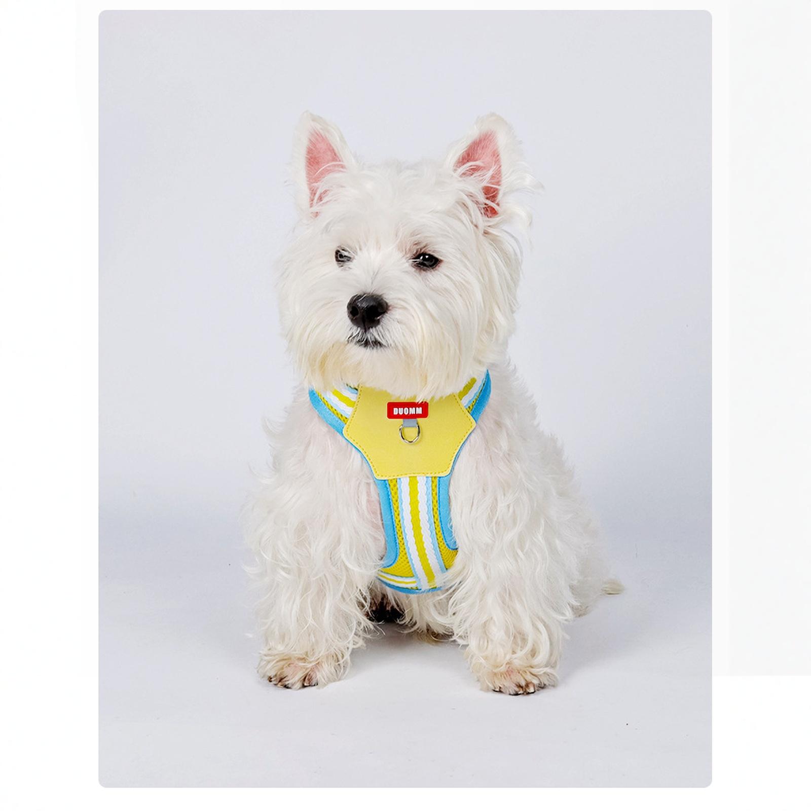 

Шлейка-H для маленьких и средних собак, Без рывков &, Побегозащитная, Мягкая сетчатая жилетка, Регулируемая посадка XS жёлтый