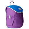 THE NORTH FACE Outdoor Bags Polyester Grape Hero Blue Kids' NF0A52VW