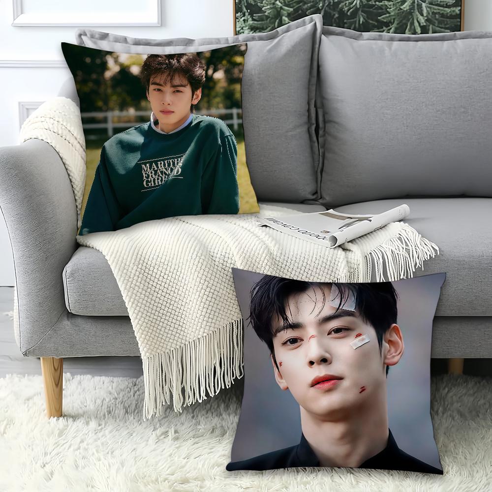 Korean Singer C-Cha E-Eun-W-Woo Pillow Case Office Cushions Suitable For Sofa Car Bedroom Decorative Cushion Cover