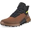 Треккинговые ботинки Ecco Biom 2.1 Mountain MID GTX