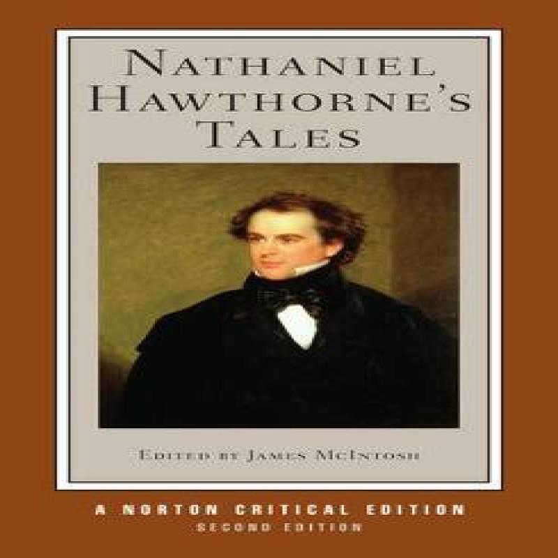 Nathaniel Hawthornes Tales by Nathaniel Hawthorne Paperback Book 9780393935646