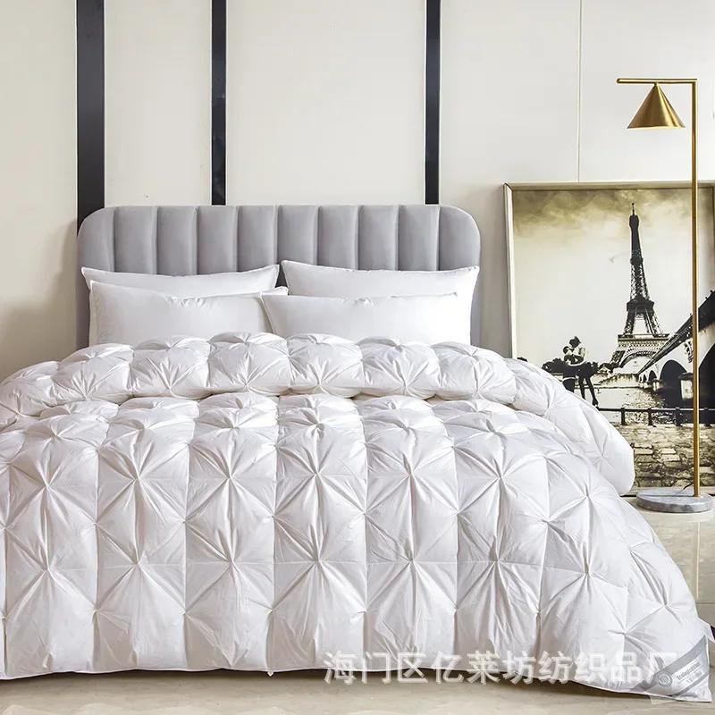 Cotton duvet 95 white goose down winter quilt cotton hotel spring and autumn quilt core gift winter quilt