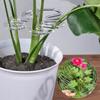 Various Shapes of Plant Racks Flower Shaped Plant Support Piles Indoor Outdoor Plant Growth Large Turtle Backed Bamboo Branches