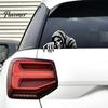 Universal Adhesive Decals Halloween Skeleton Car Sticker Peeking Decal for Window Bumper, Waterproof Vinyl Stickers Horror Skull Wall Laptop