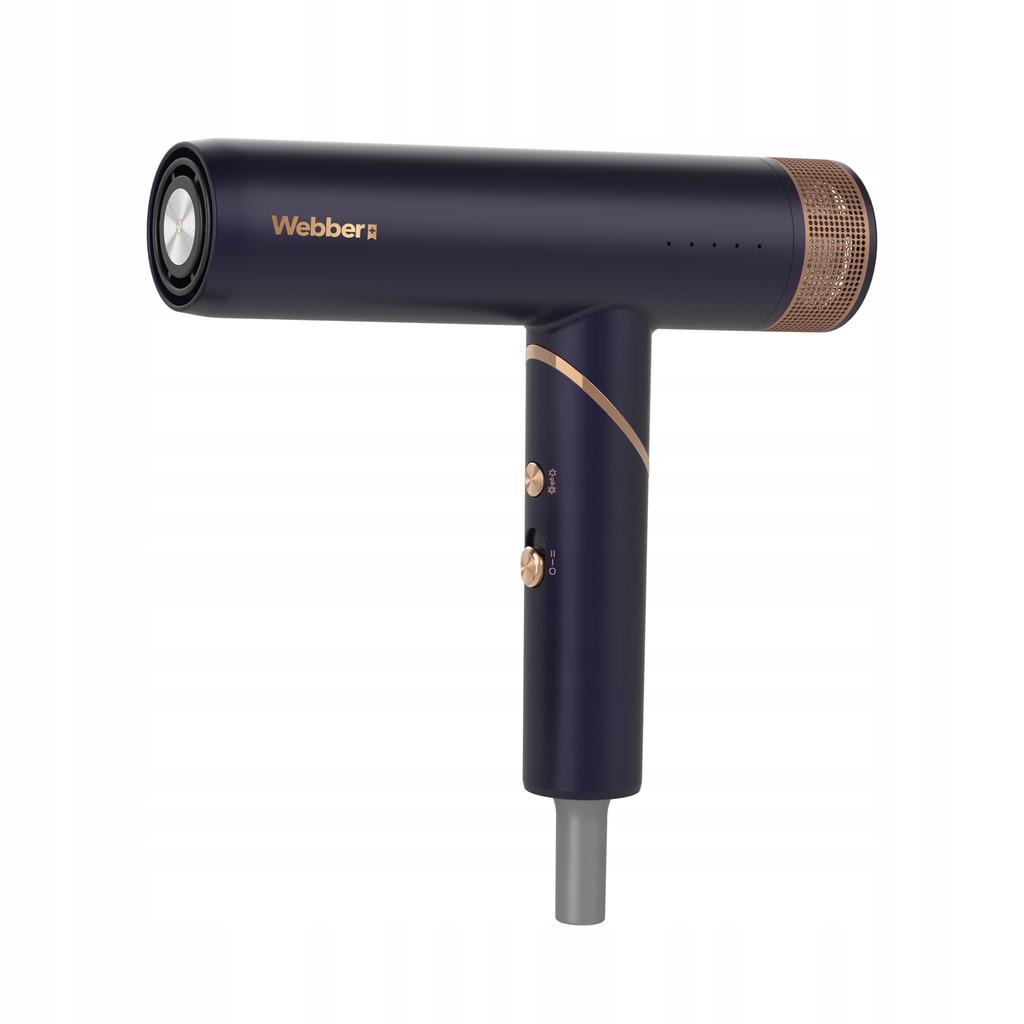 STELLA WEBBER 2000W 4-in-1 Hair Dryer with IONIZATION and Regulation
