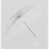 Transparent Umbrella
