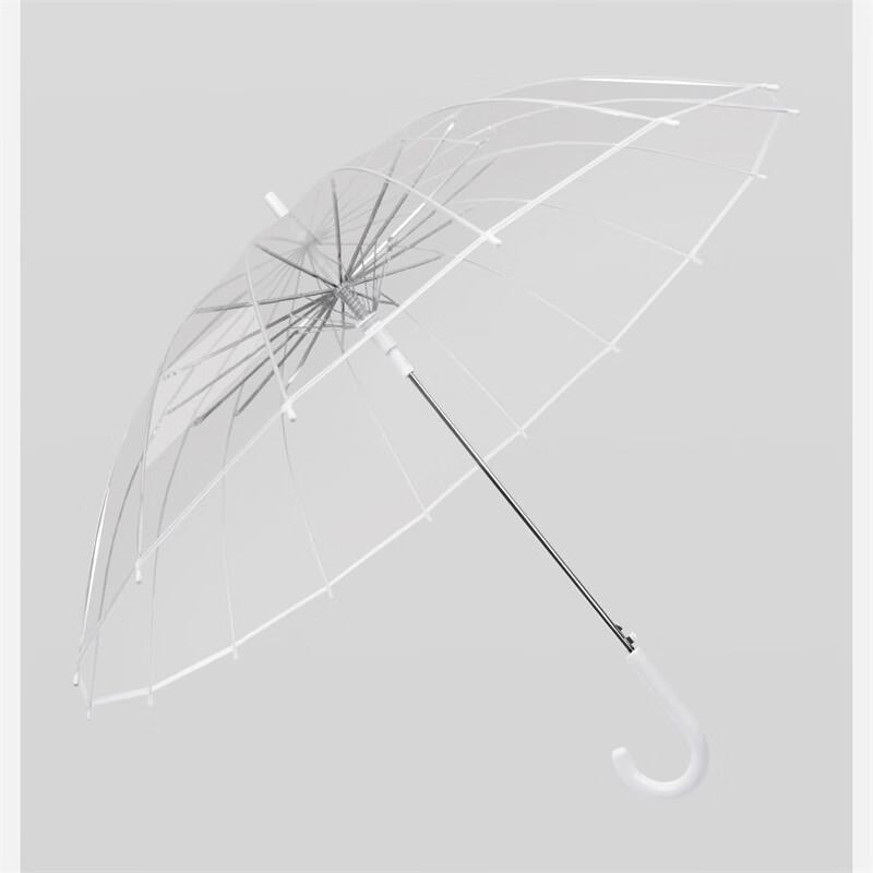 Transparent Umbrella