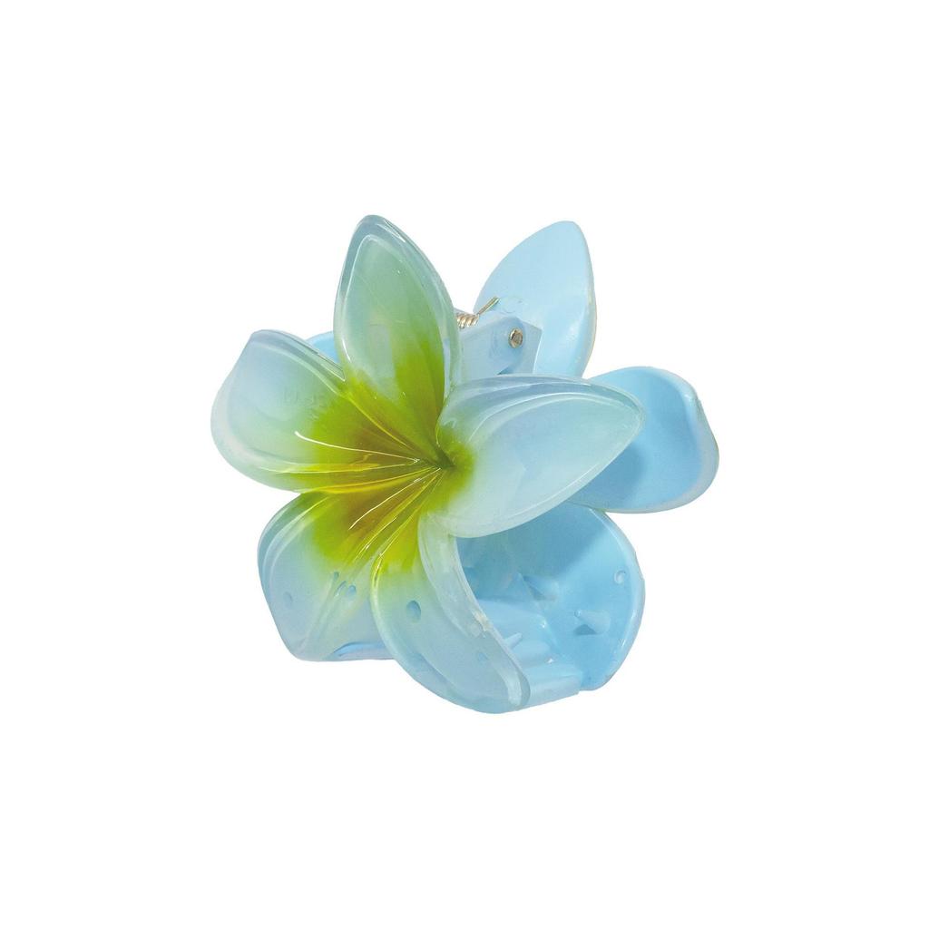 Vintage Damen Mehrfarbige Frangipani Fee Haarspange
