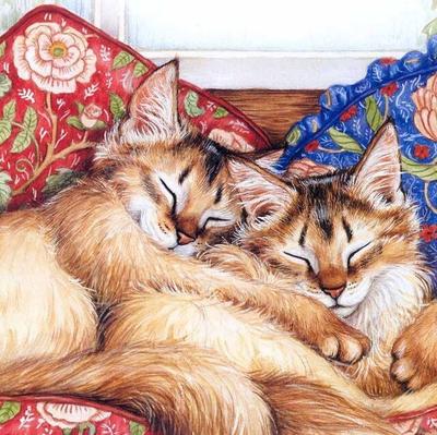 5d Fai da Te Gatto Cartone Animato Ricami Diamanti Regalo Animale Pittura Mosaico Diamante Ricamo Diamante Pieno