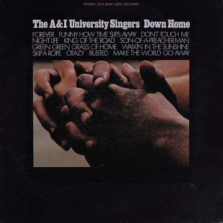 

LP Record A & I UNIVERSITY SINGERS - Down Home DLP25967 Dot Records 1969 US Soul/Funk Used
