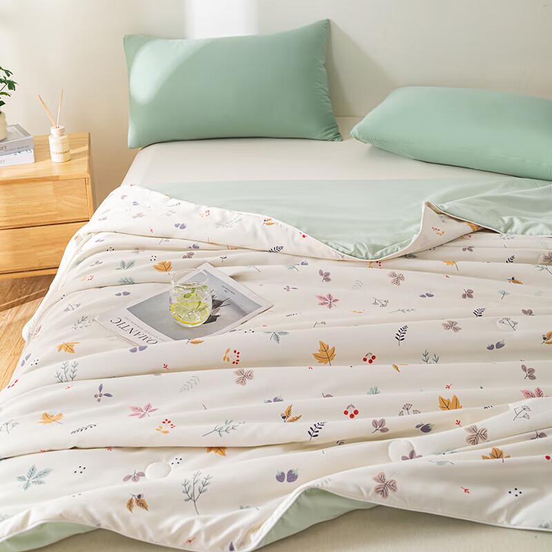

HONGDOU Oxygen Yarn Double-Layer All-Season Washable Quilt