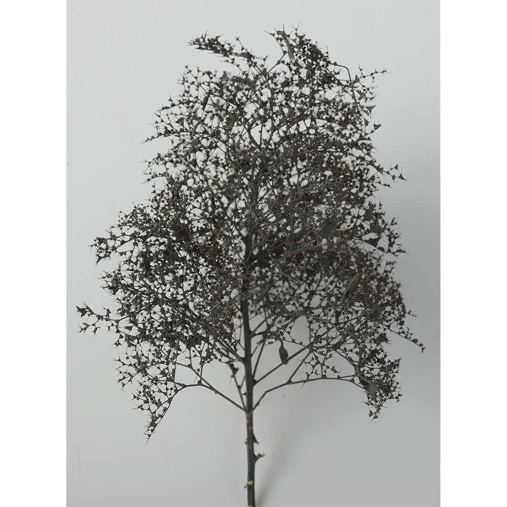 Woodland Scenics x KATO Natural Material Tree Black Dyed 24-368 Model Train Supplies
