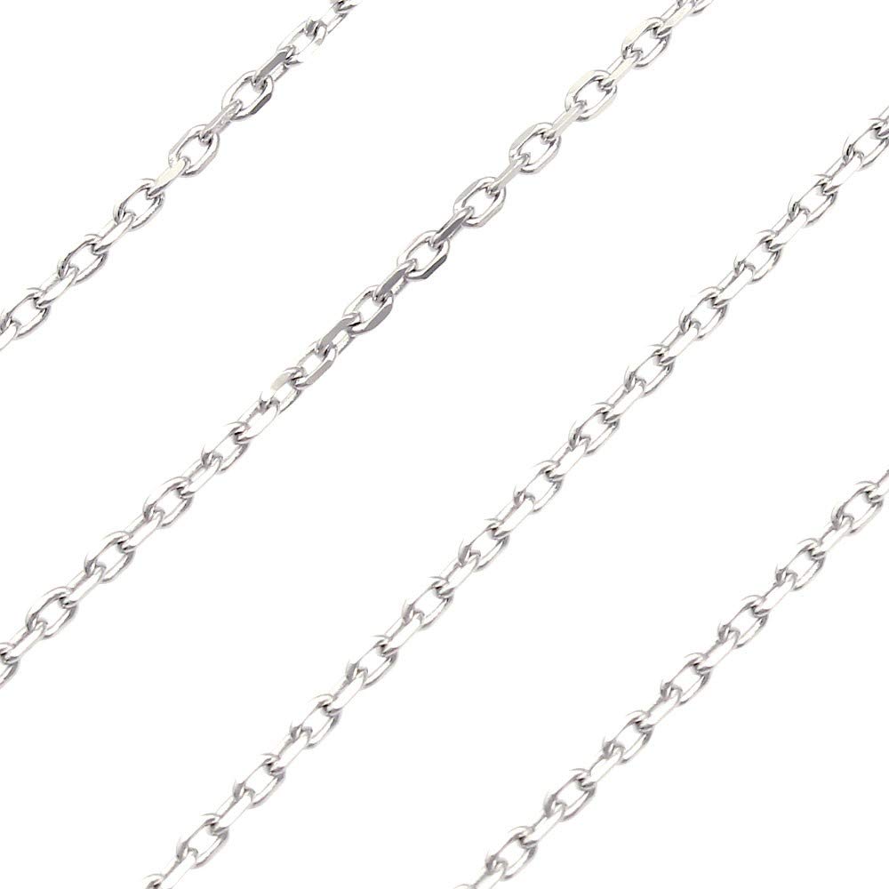 Corsair Chain 50cm [Lara Christie] [WHITE Label] cp3881-w-50