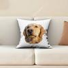 Cute Puppy Gold Retriever Dog Friend Pillow Cover Cushion Case Sofa Couch Modern Apartment Decor Family Furnishing
