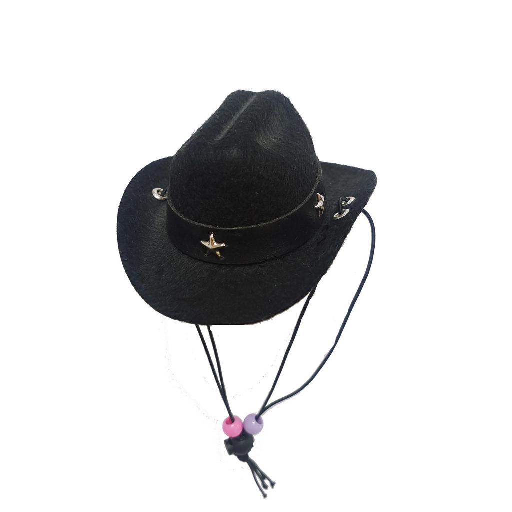 Denim Cowboy Hat with Star for Cats & Small Dogs