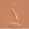 Shiny Leaf Rhinestone Tassel Bracelet , Fashion Alloy Jewelry , Unique Design for Women