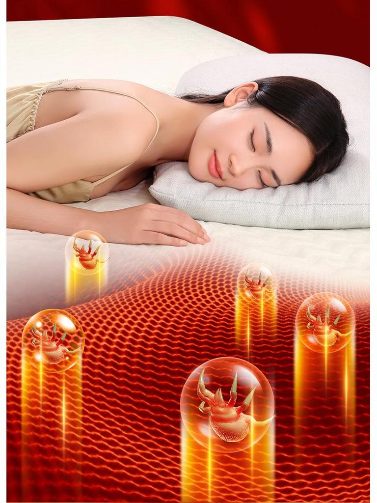 Dual Control Water Heated Electric Mattress Blanket - Double/Single 2025 Model