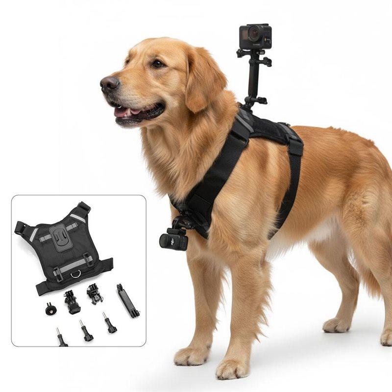 Imbracatura premium per cani Supporto per action camera Supporto per fotocamera per animali domestici Cane Fotografia Supporto Gilet Supporto per fotocamera Gilet Imbracatura per animali domestici