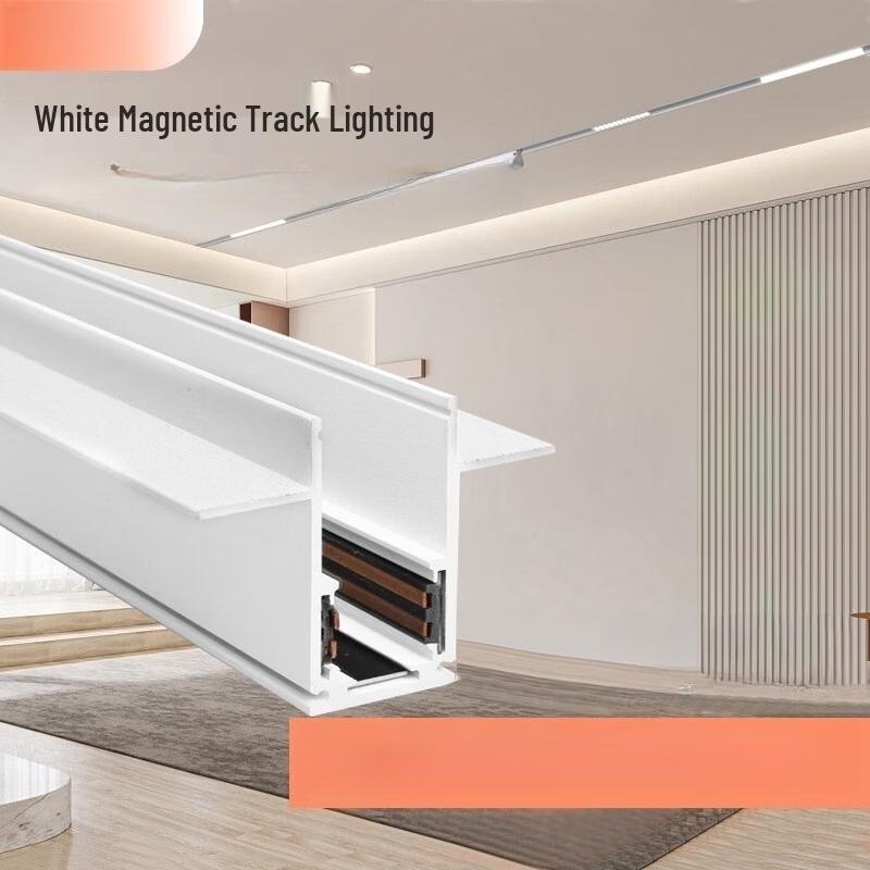 Oeny Surface Mounted Magnetic Track Light