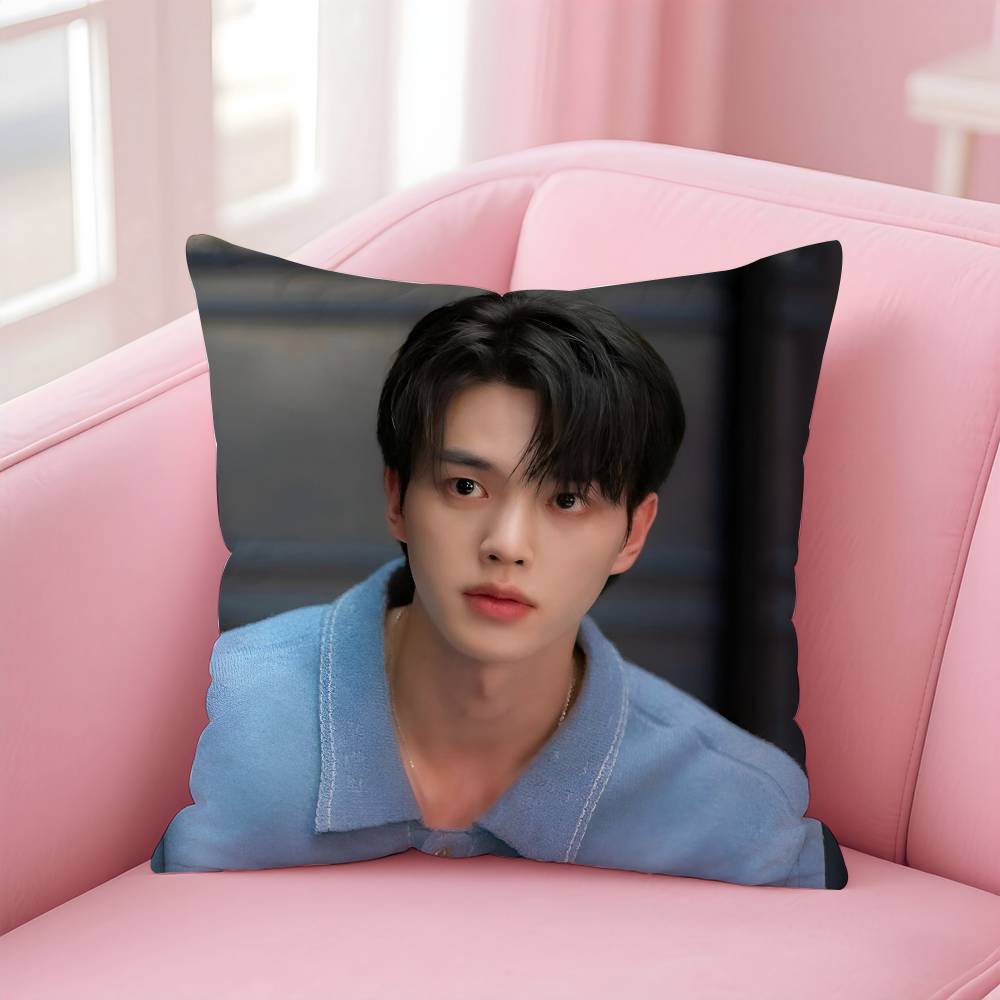 Kpop Style Actor Hot S-Song Kang Pillow Case Anti-Dustmite Pillowcase Invisible Zipper Silky Short Plush Sofa Cushion Cover