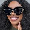New  Oversized Cat Eye Sunglasses Women For Men Luxury Brand Designer Vintage Punk Sunglasses Popular Rivet Big Frame Eyewear