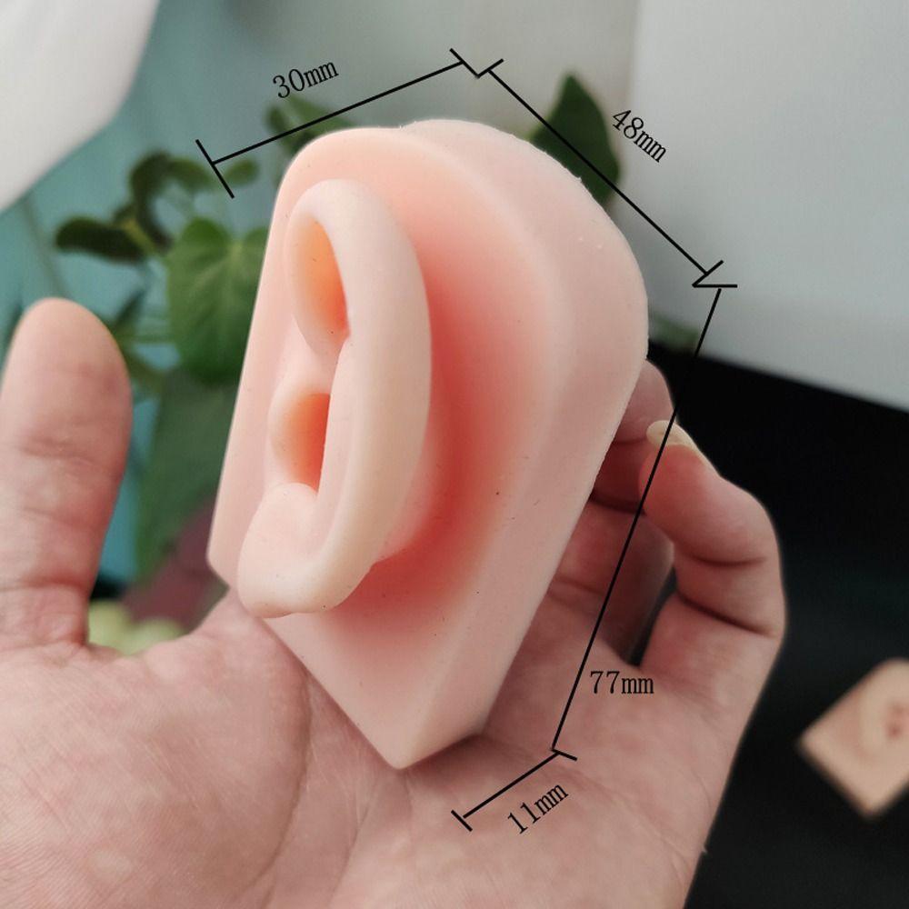 Tools Body for Hearing Teaching Simulation Ear Jewelry Earrings Display Silicone Ear Model Fake Ear